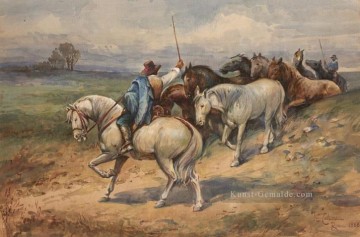  pferd - Horden in Italien Enrico Coleman